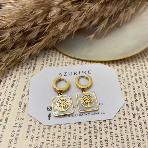 Stainless steel Earrings